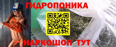 гашик Кизилюрт