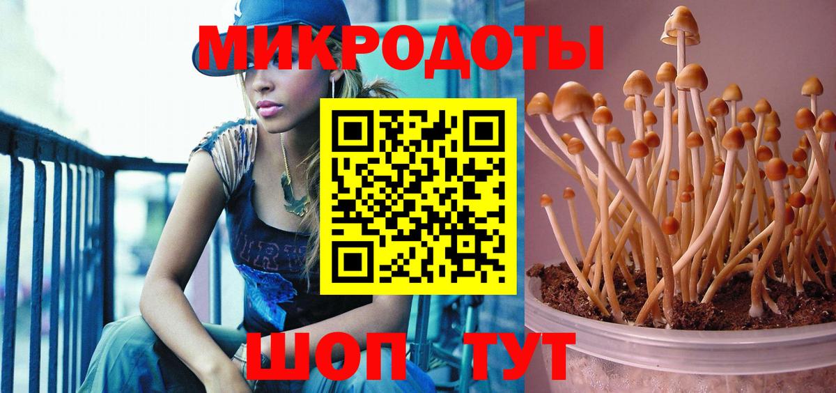 Галлюциногенные грибы мицелий  Вход с VPN  Большой Камень  Галлюциногенные грибы мицелий 